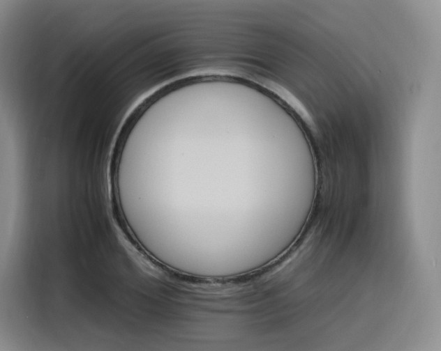 X0000116120980200911231212