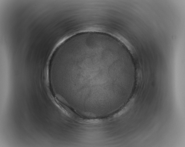 X0000116120982200911231212