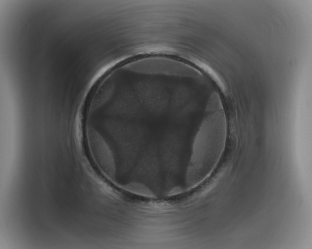 X0000116120983200911231212