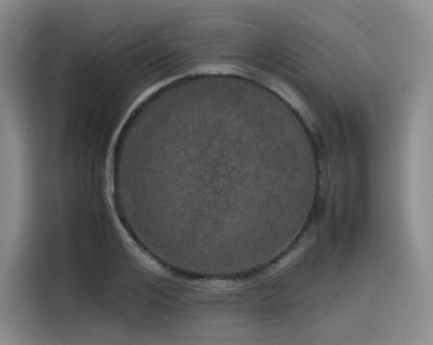 X0000116120984200911231212