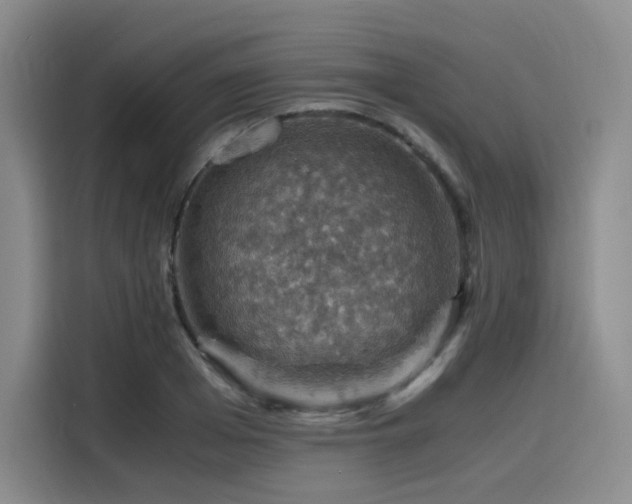 X0000116120985200911231212