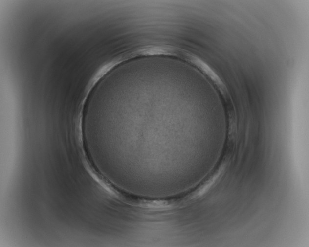 X0000116120986200911231211