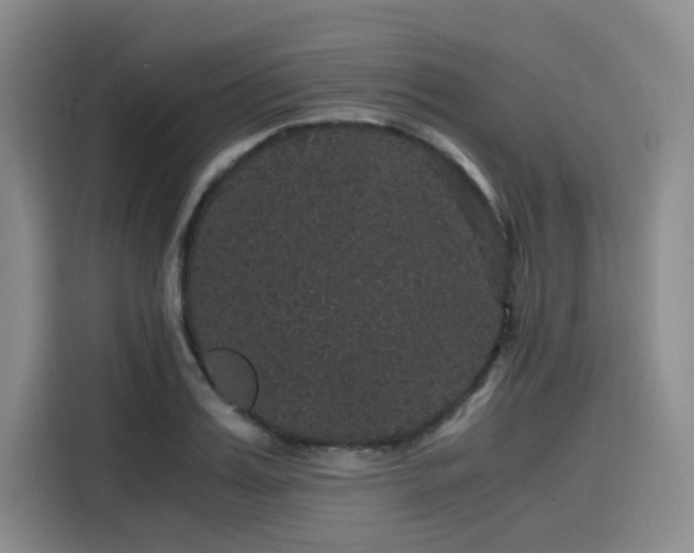 X0000116120987200911231211