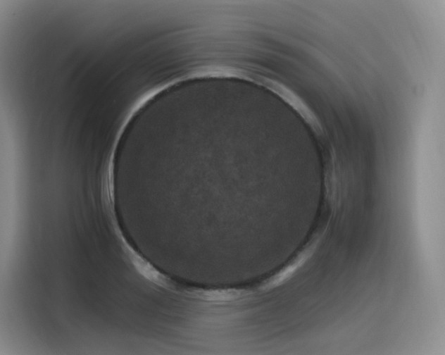 X0000116120988200911231211