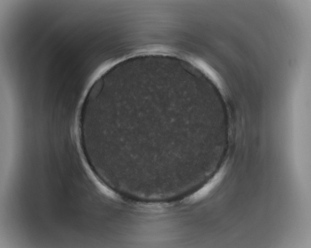 X0000116120989200911231211