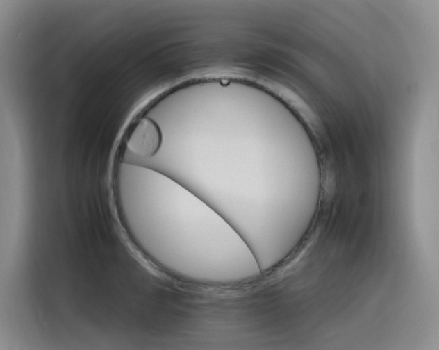 X0000116120990200911231211