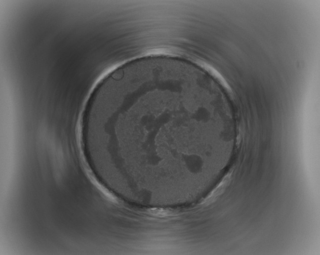 X0000116120991200911231211