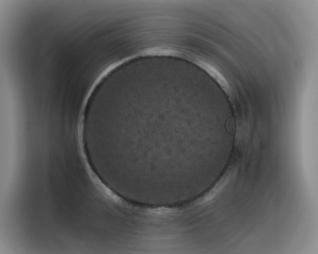 X0000116120992200911231211