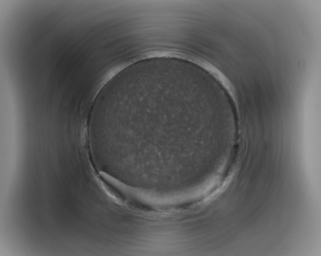 X0000116120993200911231211