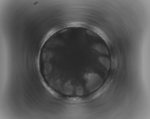 X0000116120994200911231211