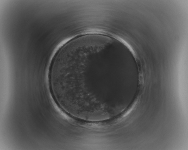 X0000116120995200911231211