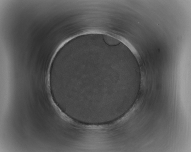 X0000116120996200911231211