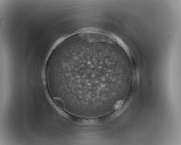 X0000116120997200911231211