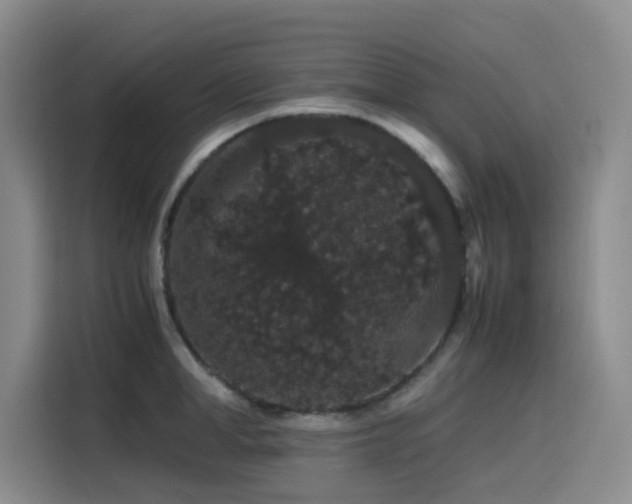 X0000116120998200911231211