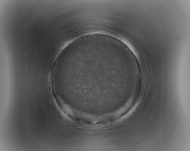 X0000116121001200911231211