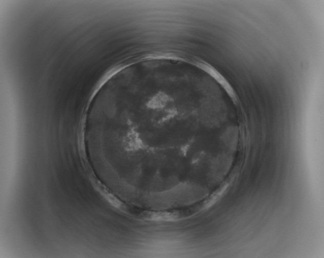 X0000116121002200911231211