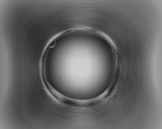 X0000116121003200911231211