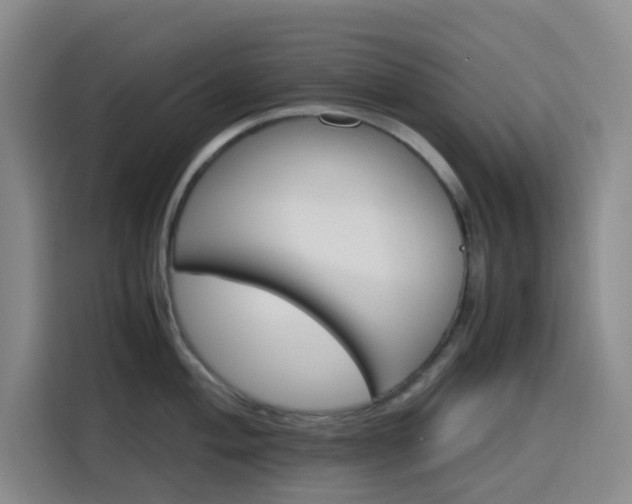 X0000116121004200911231211