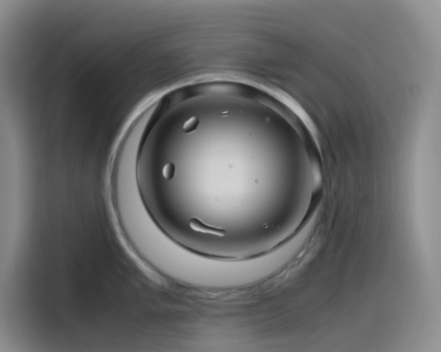 X0000116121005200911231211