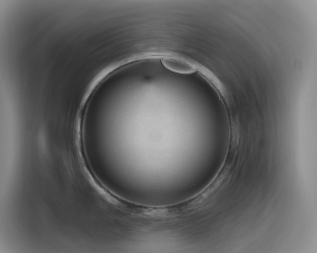 X0000116121006200911231211