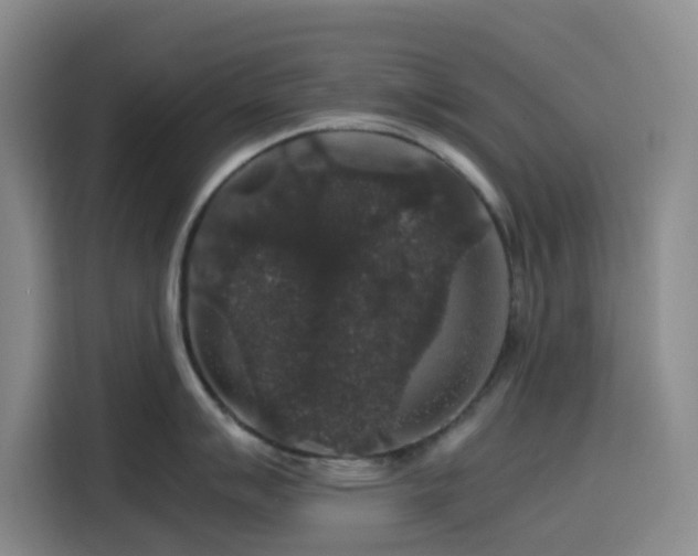 X0000116121007200911231211