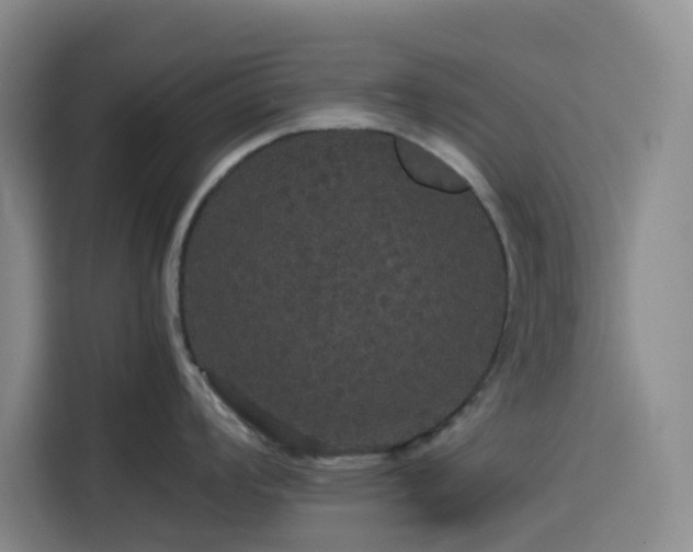 X0000116121008200911231211