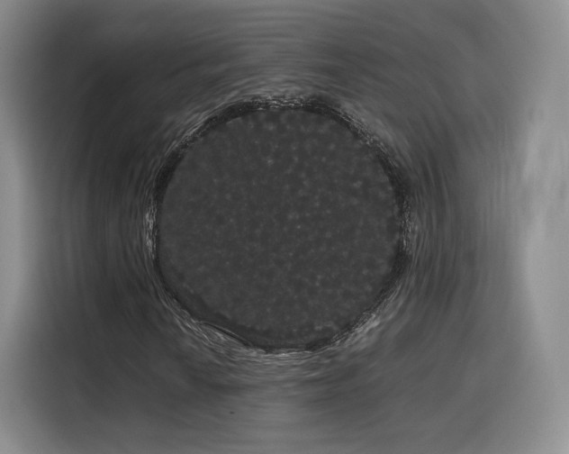 X0000116121010200911231211