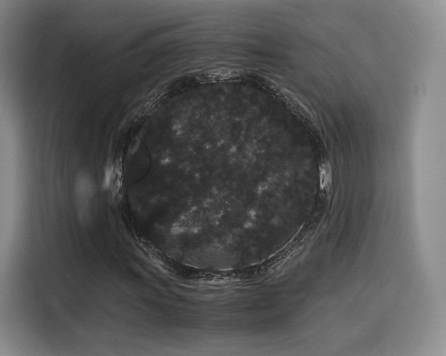 X0000116121011200911231211