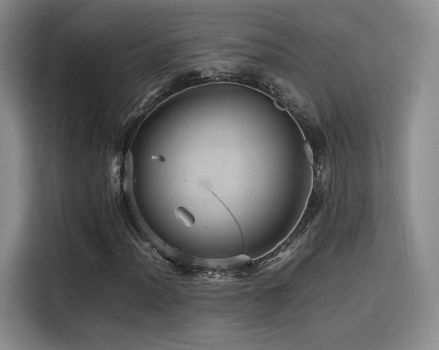 X0000116121012200911231211