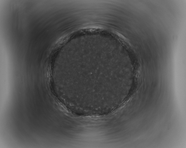 X0000116121014200911231211