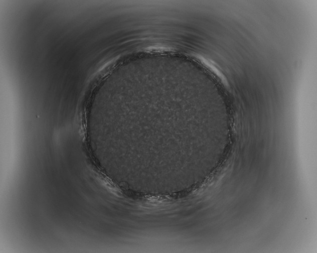 X0000116121015200911231211