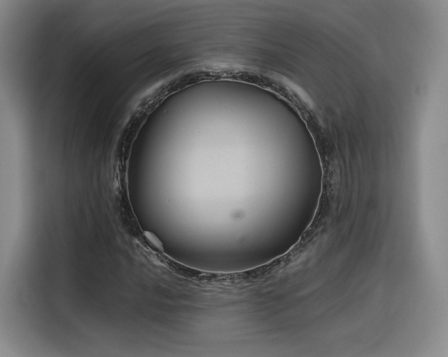 X0000116121016200911231211