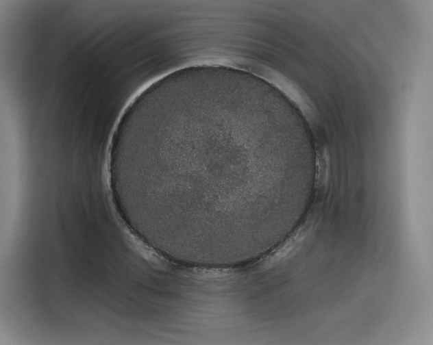 X0000116121020200911231211