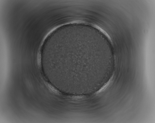 X0000116121021200911231211