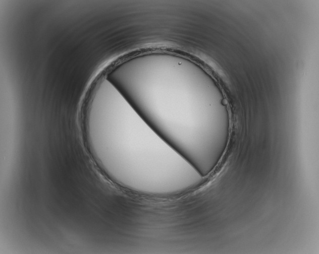 X0000116121022200911231211