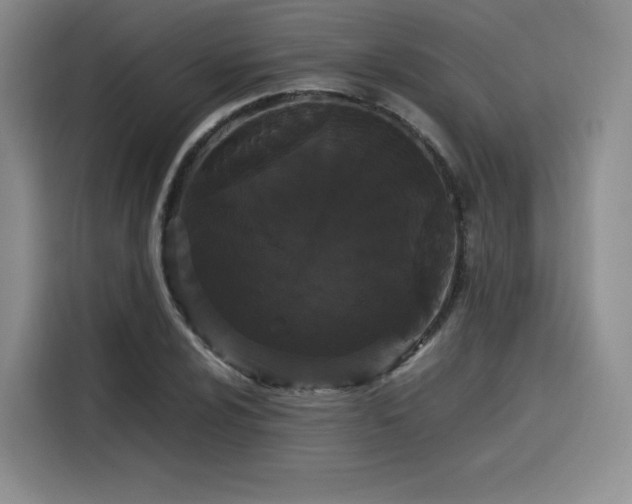 X0000116121024200911231211