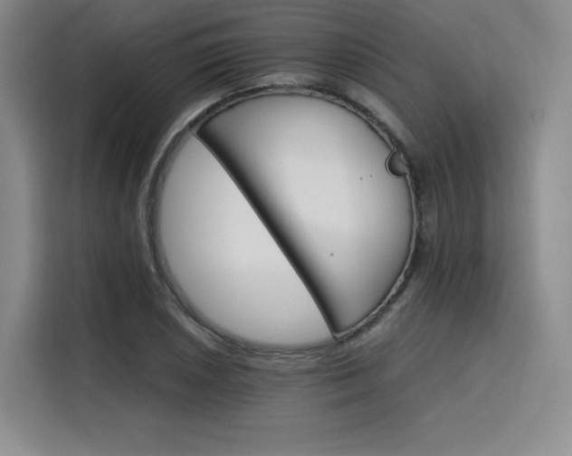 X0000116121026200911231211