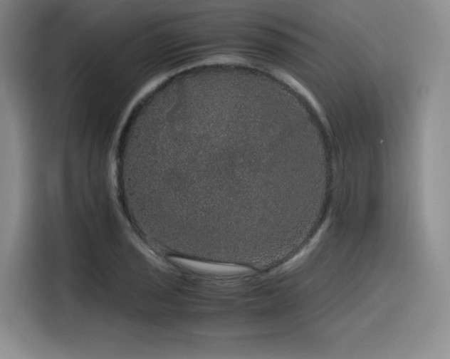 X0000116121029200911231211