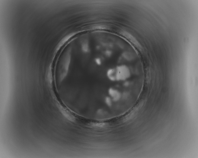 X0000116121031200911231211