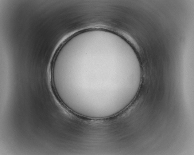 X0000116121032200911231211