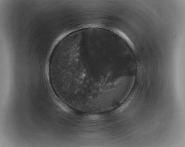 X0000116121035200911231211