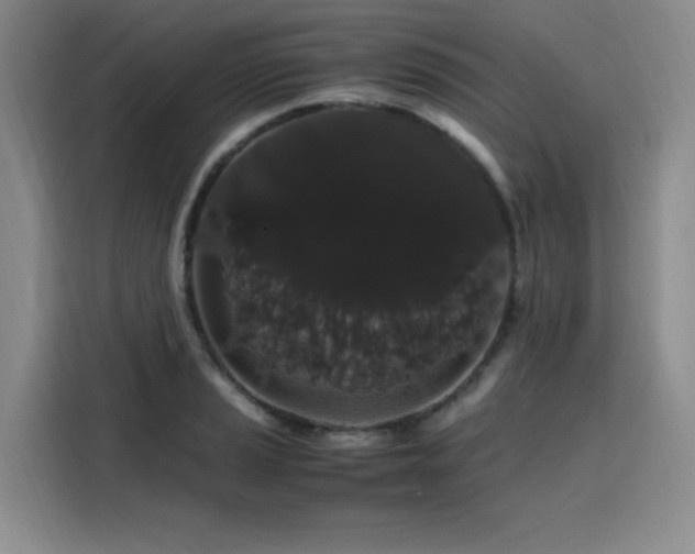 X0000116121037200911231211