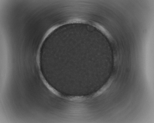 X0000116121038200911231211