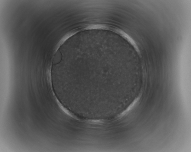 X0000116121041200911231211