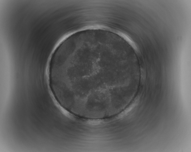 X0000116121046200911231211