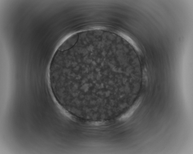 X0000116121047200911231211