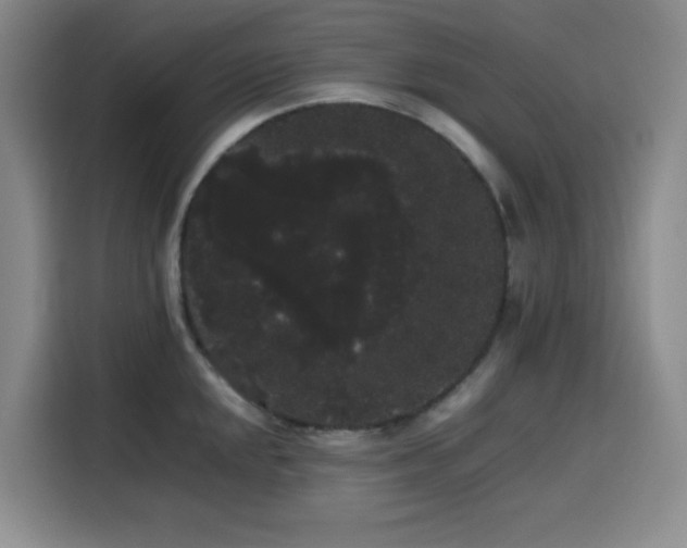 X0000116121048200911231211