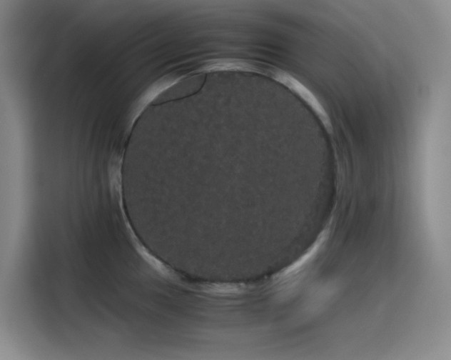 X0000116121049200911231211