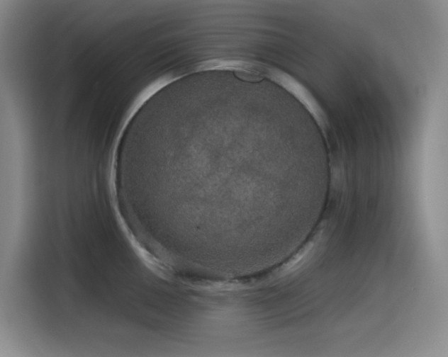 X0000116121050200911231211