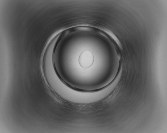 X0000116121051200911231211